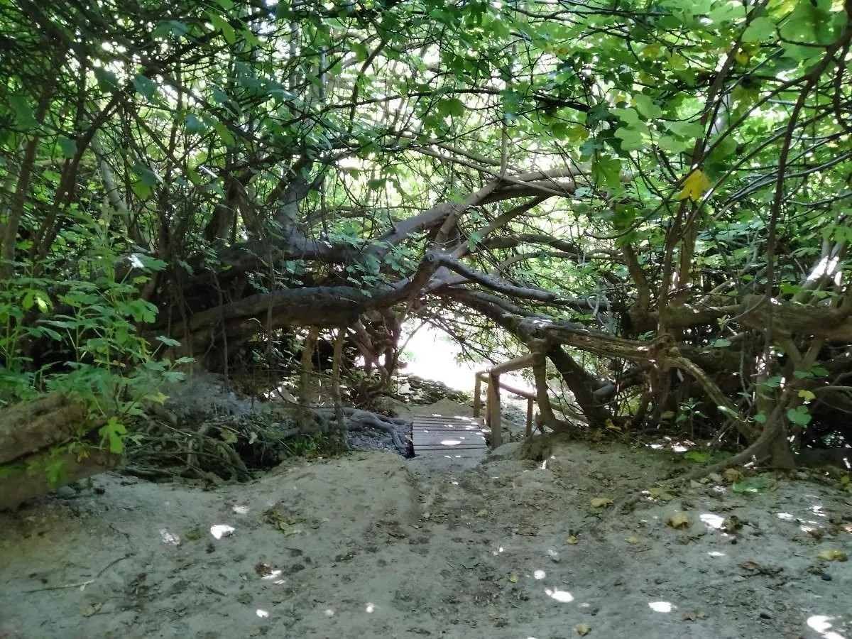 Alojamiento Rural, Cueva de la Abuela Cuevas del Campo España
